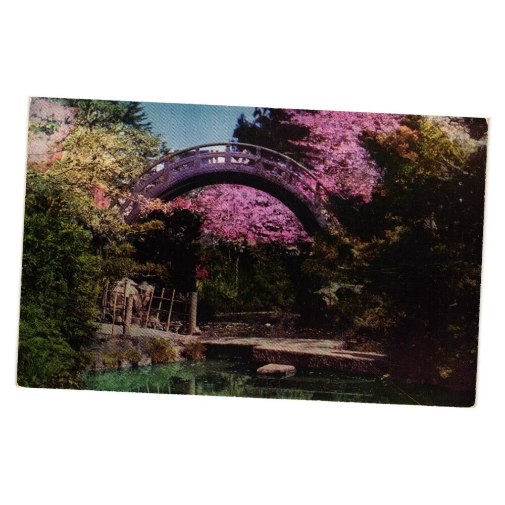 Vintage Postcard Oriental Tea Garden Moon Bridge San Francisco Tourism Roadside
